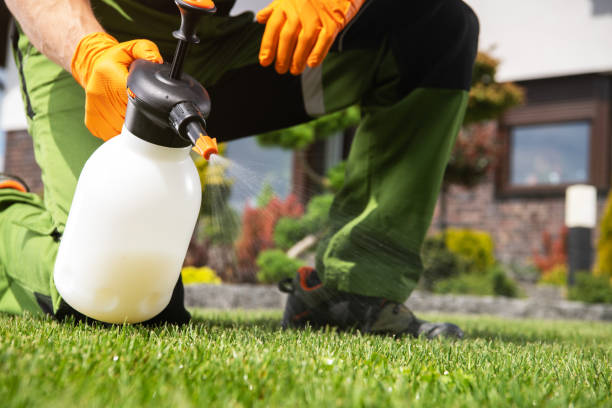 Best Commercial Pest Control Services  in Barnesville, MN