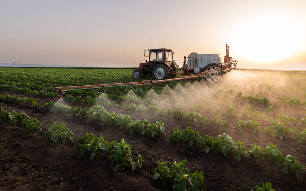 Best Pest Removal Services  in Barnesville, MN