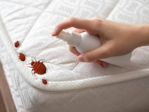 Barnesville, MN Pest Control Company