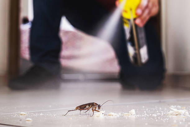 Pest Control Cost in Barnesville, MN