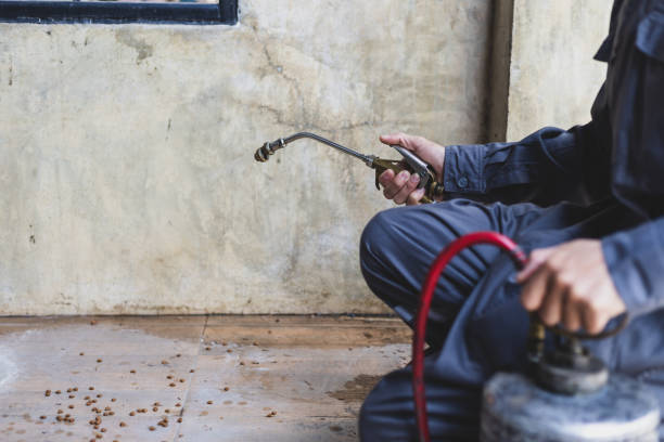 Best Emergency Pest Control  in Barnesville, MN